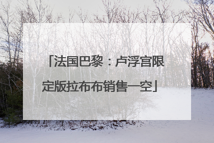 法国巴黎：卢浮宫限定版拉布布销售一空