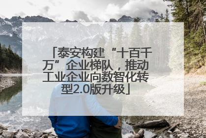 泰安构建“十百千万”企业梯队，推动工业企业向数智化转型2.0版升级