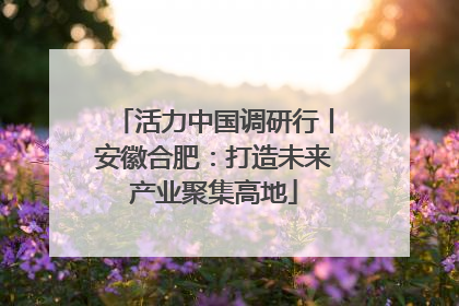 活力中国调研行丨安徽合肥：打造未来产业聚集高地