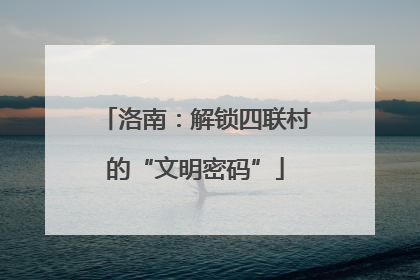 洛南：解锁四联村的“文明密码”