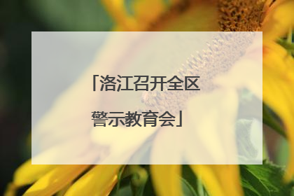 洛江召开全区警示教育会