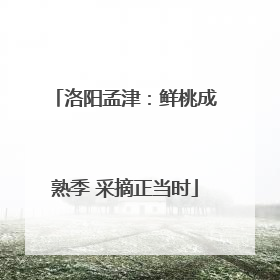 洛阳孟津：鲜桃成熟季 采摘正当时