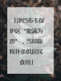 津巴布韦保护区“象满为患”，当局称将扑杀供居民食用