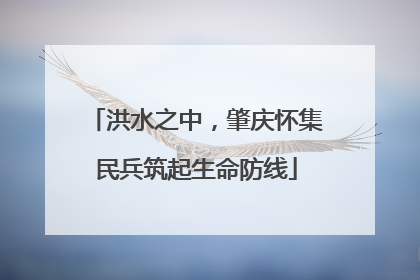 洪水之中，肇庆怀集民兵筑起生命防线