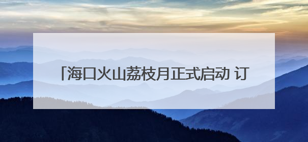 海口火山荔枝月正式启动 订单额（预售）4.11亿元