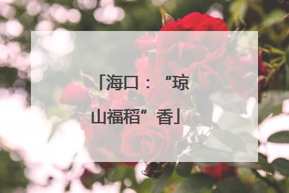 海口：“琼山福稻”香