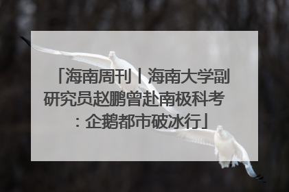 海南周刊丨海南大学副研究员赵鹏曾赴南极科考：企鹅都市破冰行