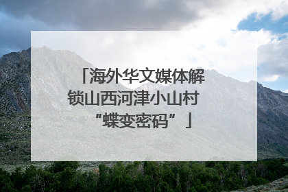 海外华文媒体解锁山西河津小山村“蝶变密码”