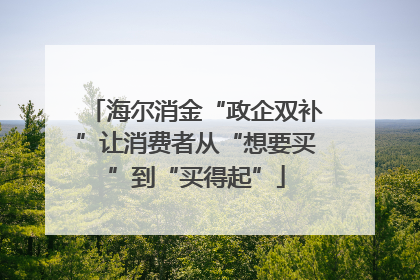 海尔消金“政企双补”让消费者从“想要买”到“买得起”