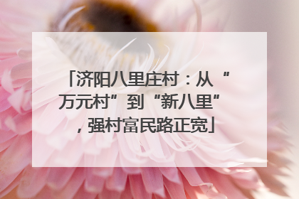 济阳八里庄村：从“万元村”到“新八里”，强村富民路正宽