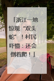浙江一地惊现“双头蛇”！村民吓懵：还会倒着爬！
