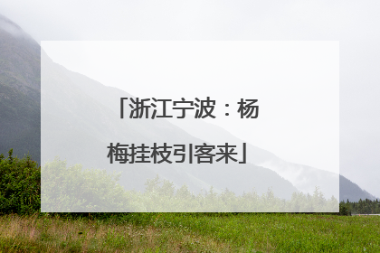 浙江宁波：杨梅挂枝引客来