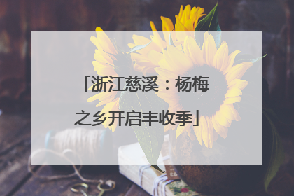 浙江慈溪：杨梅之乡开启丰收季