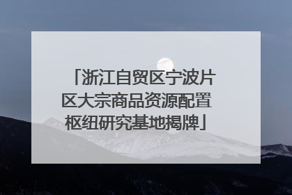 浙江自贸区宁波片区大宗商品资源配置枢纽研究基地揭牌