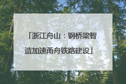 浙江舟山：钢桥梁智造加速甬舟铁路建设