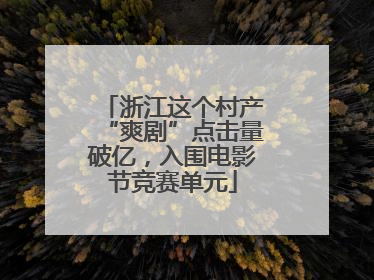 浙江这个村产“爽剧”点击量破亿，入围电影节竞赛单元