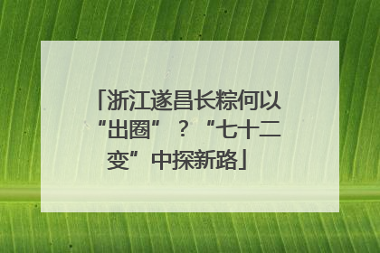 浙江遂昌长粽何以“出圈”？“七十二变”中探新路