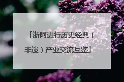 浙阿进行历史经典（非遗）产业交流互鉴