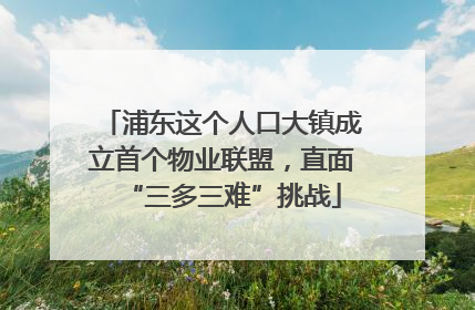 浦东这个人口大镇成立首个物业联盟，直面“三多三难”挑战