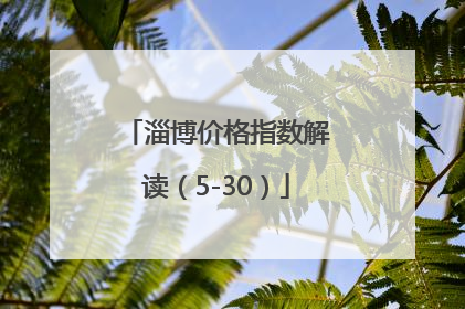 淄博价格指数解读（5-30）
