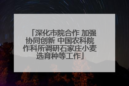 深化市院合作 加强协同创新 中国农科院作科所调研石家庄小麦选育种等工作