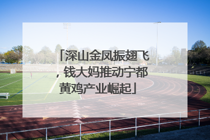 深山金凤振翅飞，钱大妈推动宁都黄鸡产业崛起