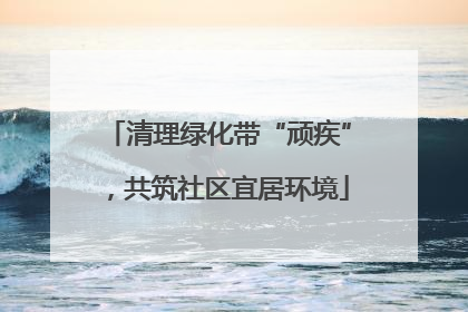 清理绿化带“顽疾”，共筑社区宜居环境