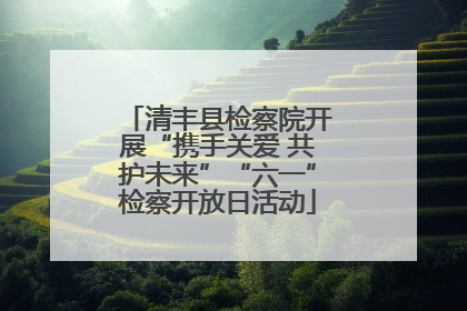 清丰县检察院开展“携手关爱 共护未来”“六一”检察开放日活动