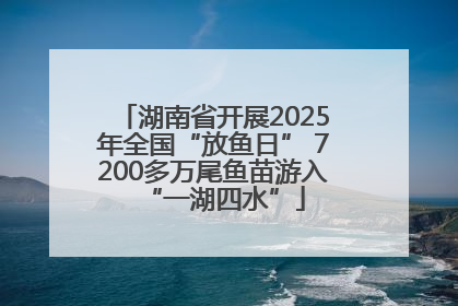湖南省开展2025年全国“放鱼日” 7200多万尾鱼苗游入“一湖四水”