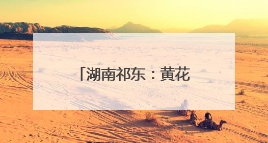 湖南祁东：黄花菜产业助农增收