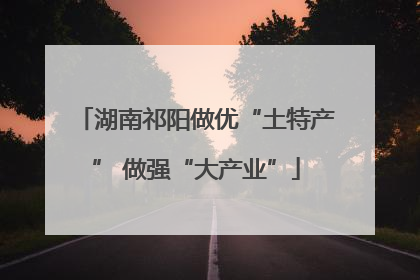 湖南祁阳做优“土特产” 做强“大产业”