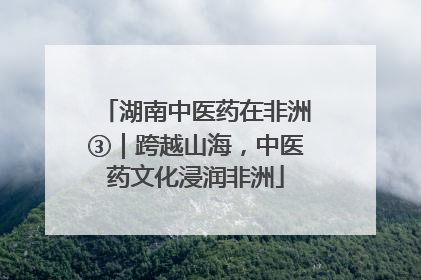 湖南中医药在非洲③｜跨越山海，中医药文化浸润非洲