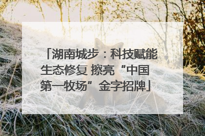 湖南城步：科技赋能生态修复 擦亮“中国第一牧场”金字招牌