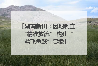 湖南新田：因地制宜“精准放流” 构建“鸢飞鱼跃”景象