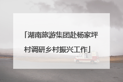 湖南旅游集团赴杨家坪村调研乡村振兴工作