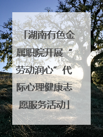 湖南有色金属职院开展“劳动润心”代际心理健康志愿服务活动