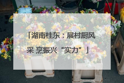 湖南桂东：展村厨风采 烹振兴“实力”