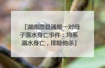 湖南澧县通报一对母子落水身亡事件：均系溺水身亡，排除他杀
