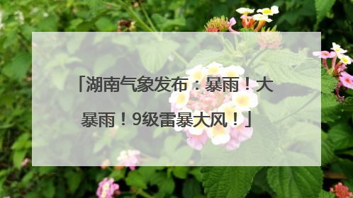 湖南气象发布：暴雨！大暴雨！9级雷暴大风！