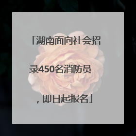 湖南面向社会招录450名消防员，即日起报名