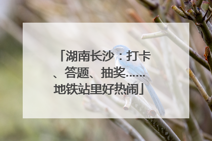湖南长沙：打卡、答题、抽奖……地铁站里好热闹