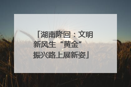 湖南隆回：文明新风生“黄金” 振兴路上展新姿