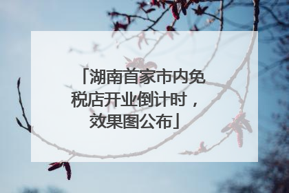 湖南首家市内免税店开业倒计时，效果图公布