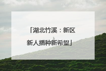 湖北竹溪：新区新人播种新希望