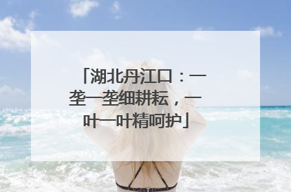 湖北丹江口：一垄一垄细耕耘，一叶一叶精呵护