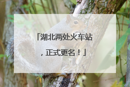 湖北两处火车站，正式更名！