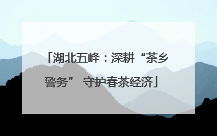 湖北五峰：深耕“茶乡警务” 守护春茶经济