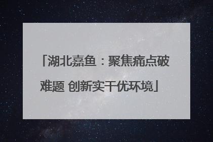 湖北嘉鱼：聚焦痛点破难题 创新实干优环境
