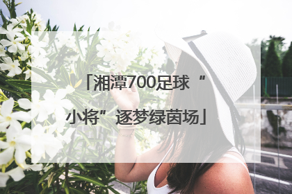 湘潭700足球“小将”逐梦绿茵场