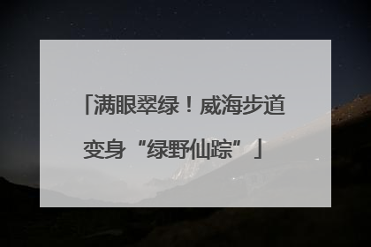 满眼翠绿！威海步道变身“绿野仙踪”